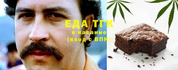индика Алексин