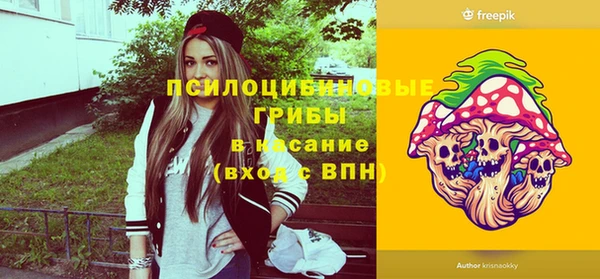 индика Алексин