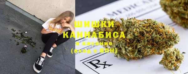 сатива Абинск