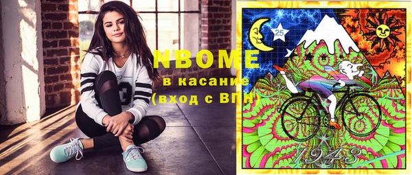 индика Алексин