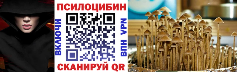 где продают наркотики  Ладушкин  darknet телеграм  Псилоцибиновые грибы Psilocybe 